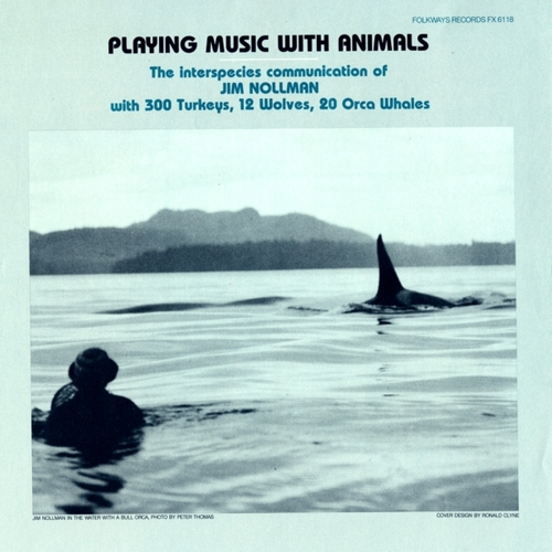 music with animals