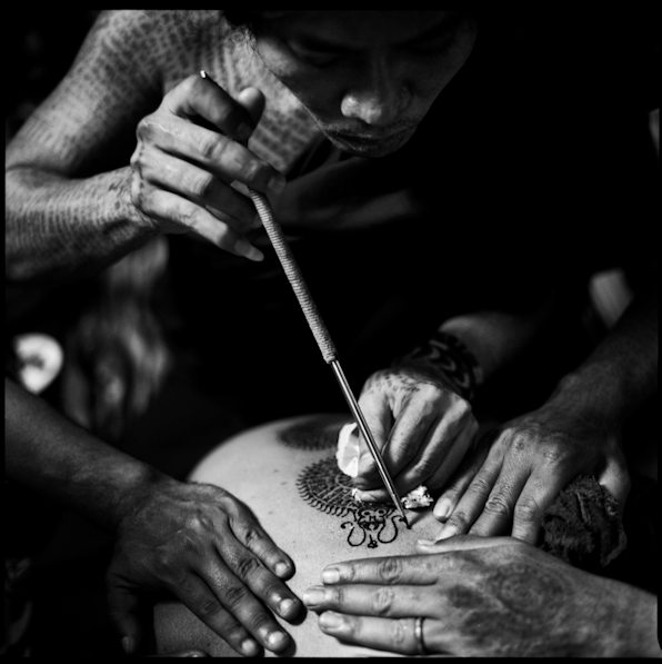 more wonderful images by Cedric Arnold – http://cedricarnold.com/blog/