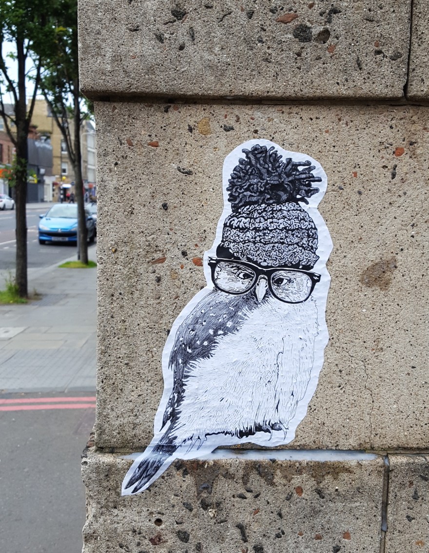 bobble hat short sighted owl_shielyule