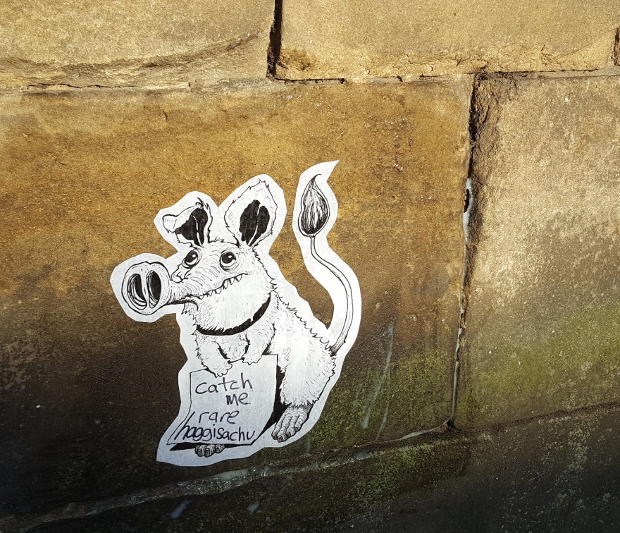 haggisacho_shielyule