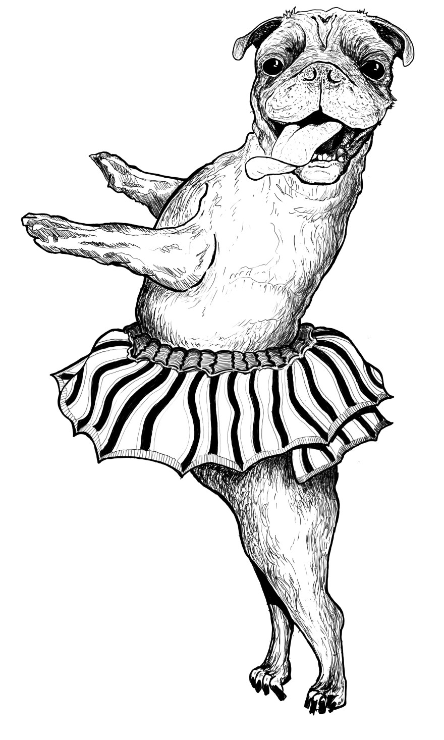 dancing-pug