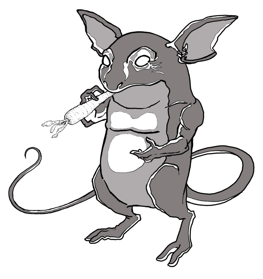 nidoqueen-and-raichu